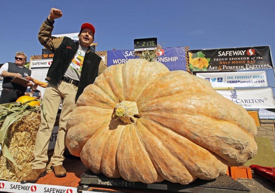 A man celebrates after learning his pumpkin set a new record at 2,175 lbs.