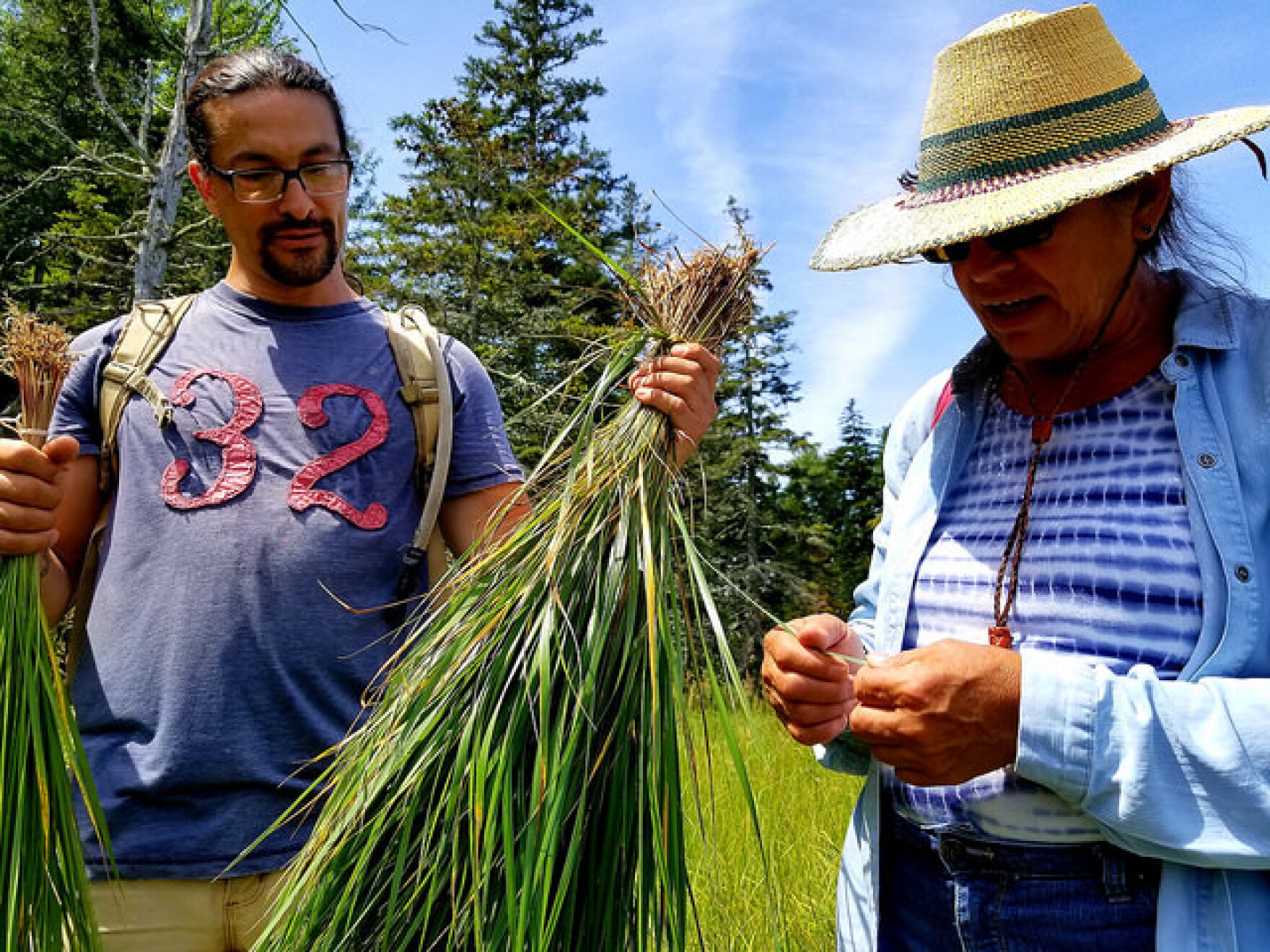Wabanaki Basketmakers Want To Show That Harvesting Sweetgrass Can Be Sustainable Maine Public