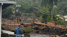 Debris is seen strewn across a road in the Kaʻū district on Hawaiʻi Island on Aug. 16 after Hurricane Lala.