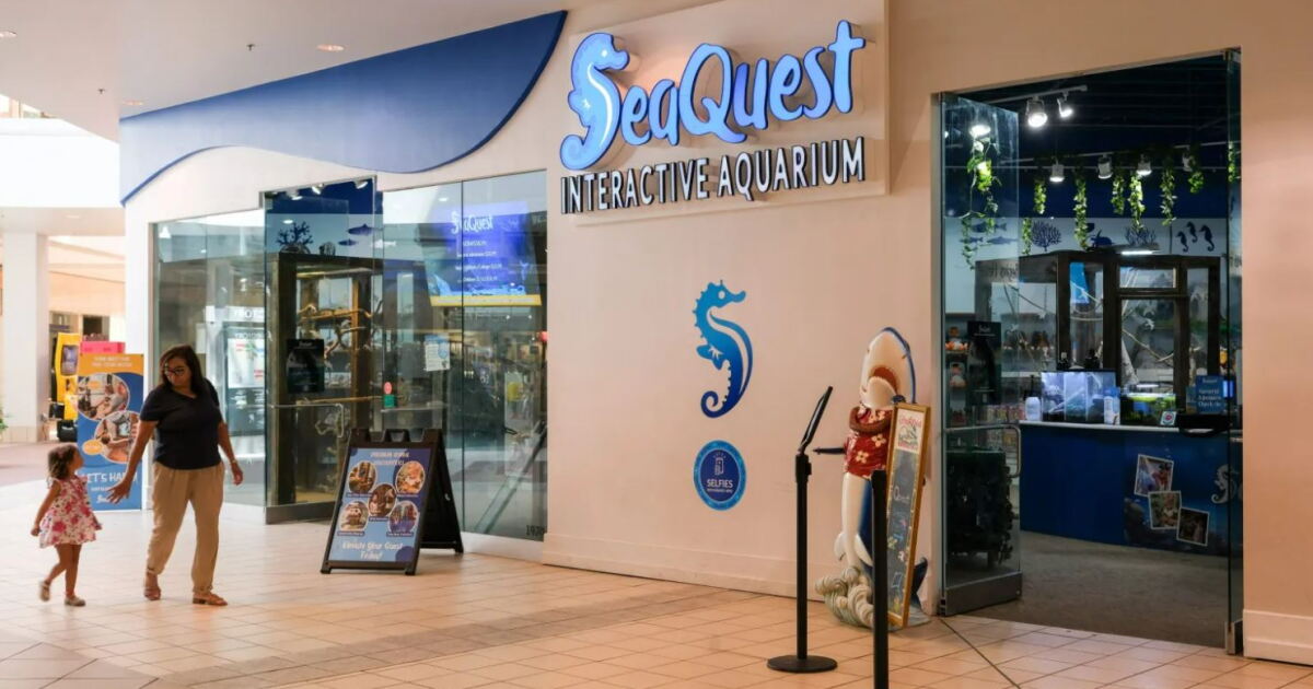 Undercover investigation at SeaQuest Fort Worth discovers animal abuse, roach infestation | KERA ...