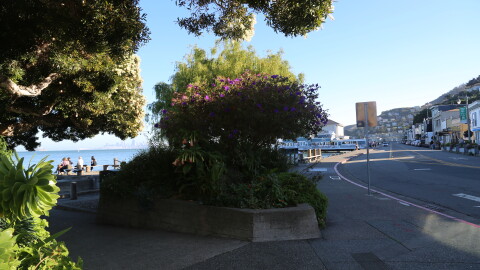 Sausalito's Downtown Historic District is exempted from Measure X.