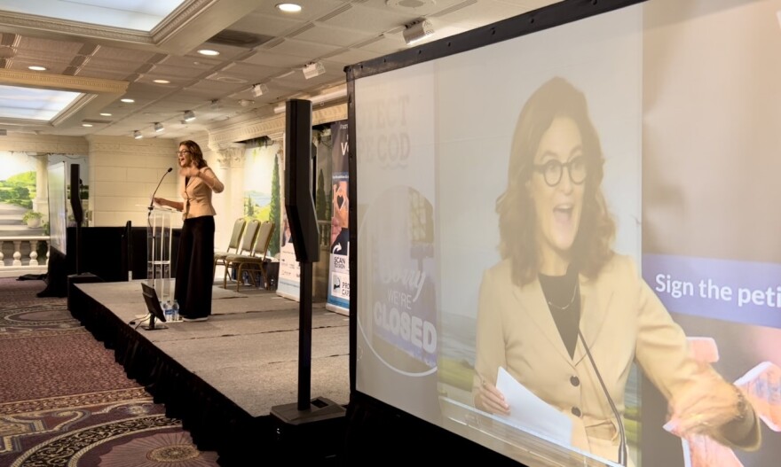 Alisa Magnotta, CEO of the Housing Assistance Corporation, speaks during the launch of the Housing to Protect Cape Cod campaign, held at the Cape Codder in Hyannis Nov. 3, 2022.