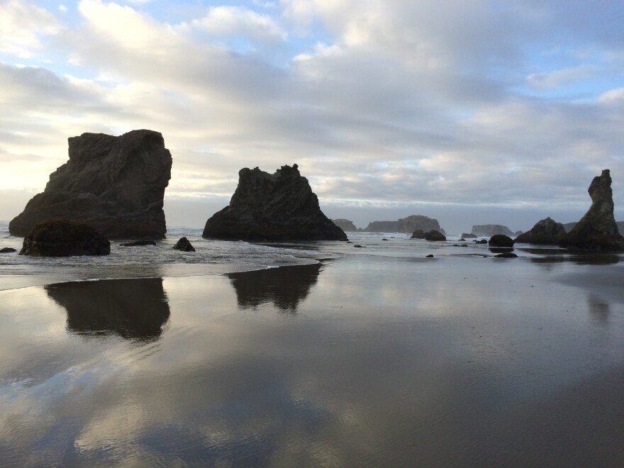 The Oregon coast in Brandon. File photo from 2016.