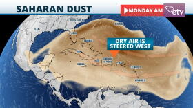 Dust Forecast