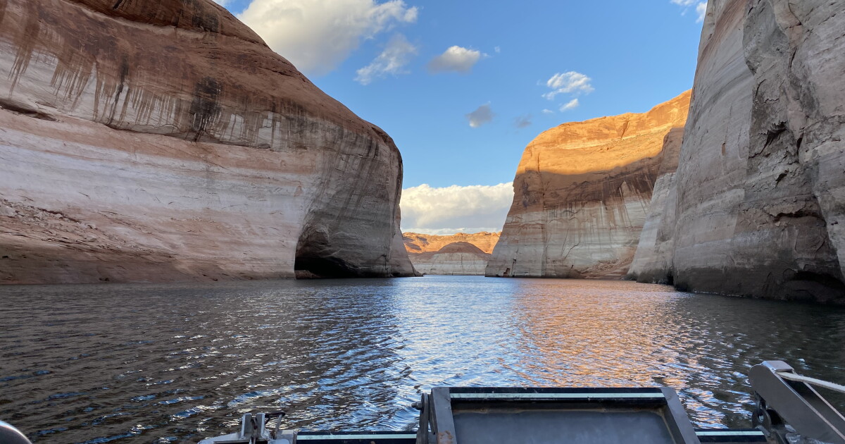 Park officials issue warning after Lake Powell tests positive for algae ...