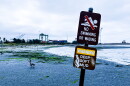 The beach at Middle Harbor Shoreline Park that Maria BC visited frequently while writing Marathon.