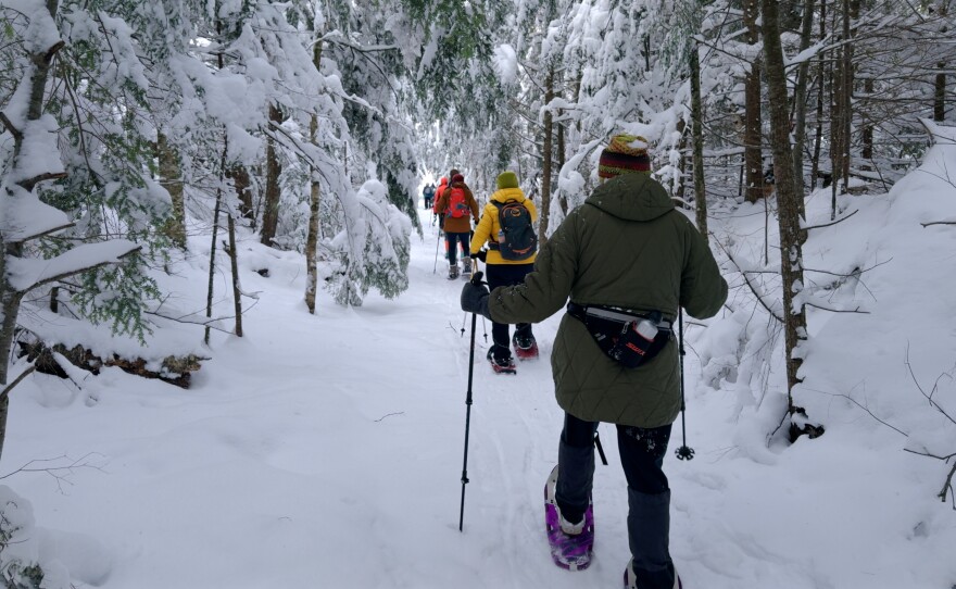 A wintery jaunt through the national forest.