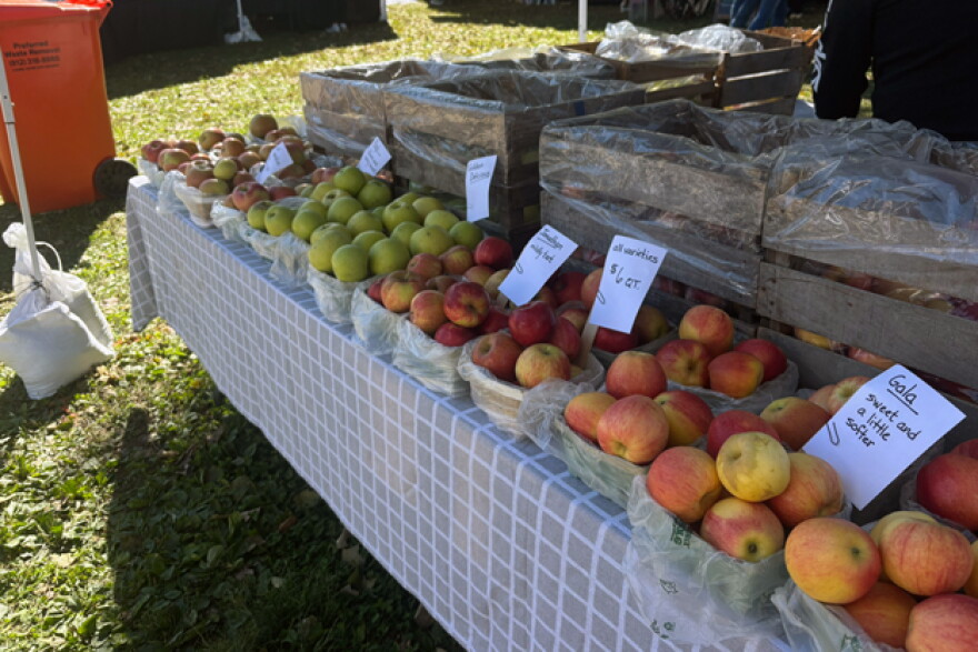 Apples of different varieties and colors in baskets line a table under a tent.