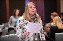 State Rep. Stephanie Kifowit, D-Aurora, introduced HB 4306 this year to address the mental health crisis and put more prevention efforts in place for 23,000 foster kids in Illinois.