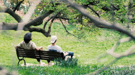 Two people sitting on a bench in a park, facing away from the viewer