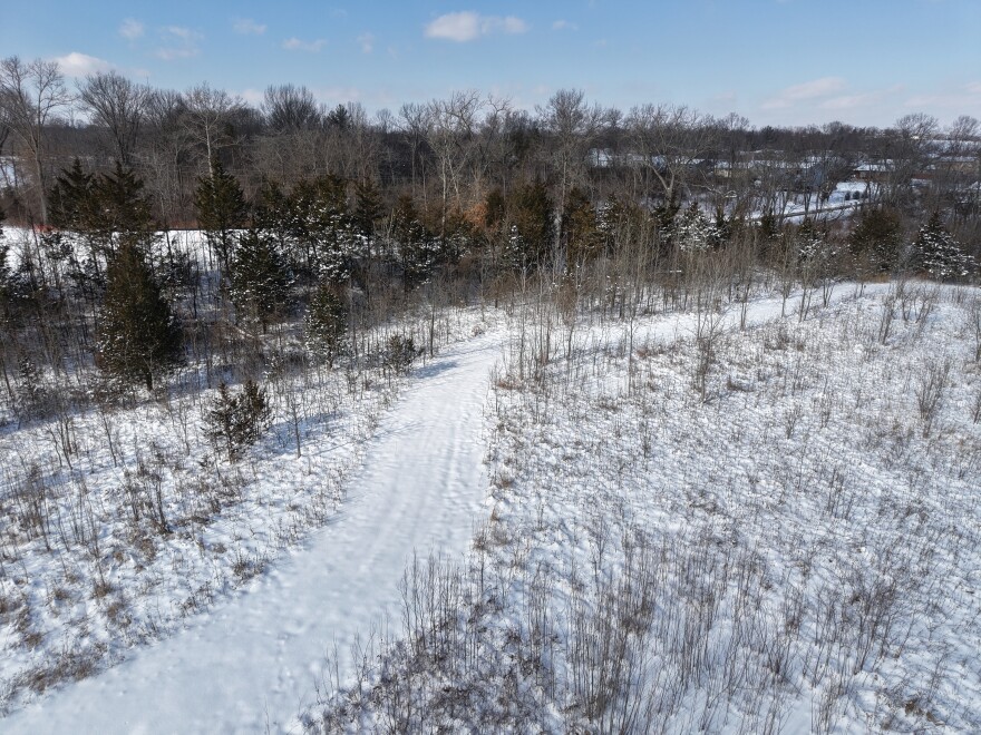 a snow-covered pathway through trees