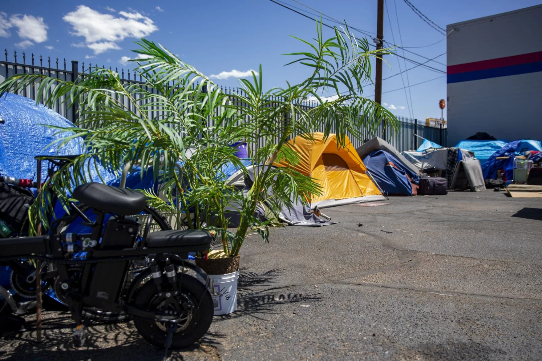 WED: ABQ asks judge to declare bookstore with homeless encampment a ‘public nuisance,' + More
