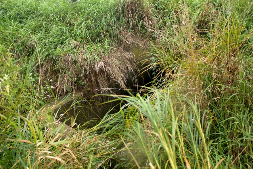 WOW_3_culvert.jpg