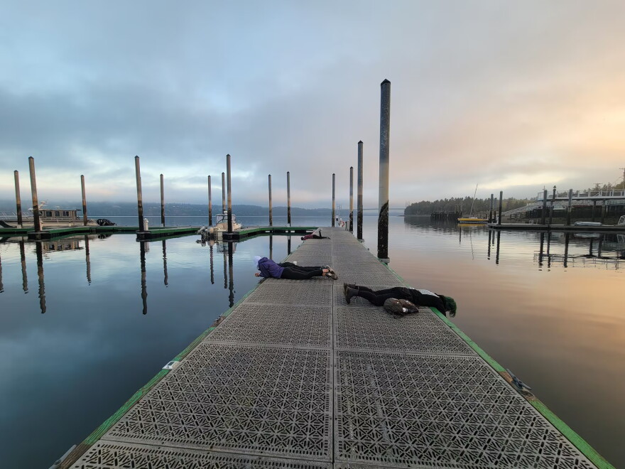 Dockfouling is the act of observing marine life found under docks. Luan Roberts and others make regular visits to docks in Washington's Puget Sound to observe and record what they find, creating a valuable data baseline for science.