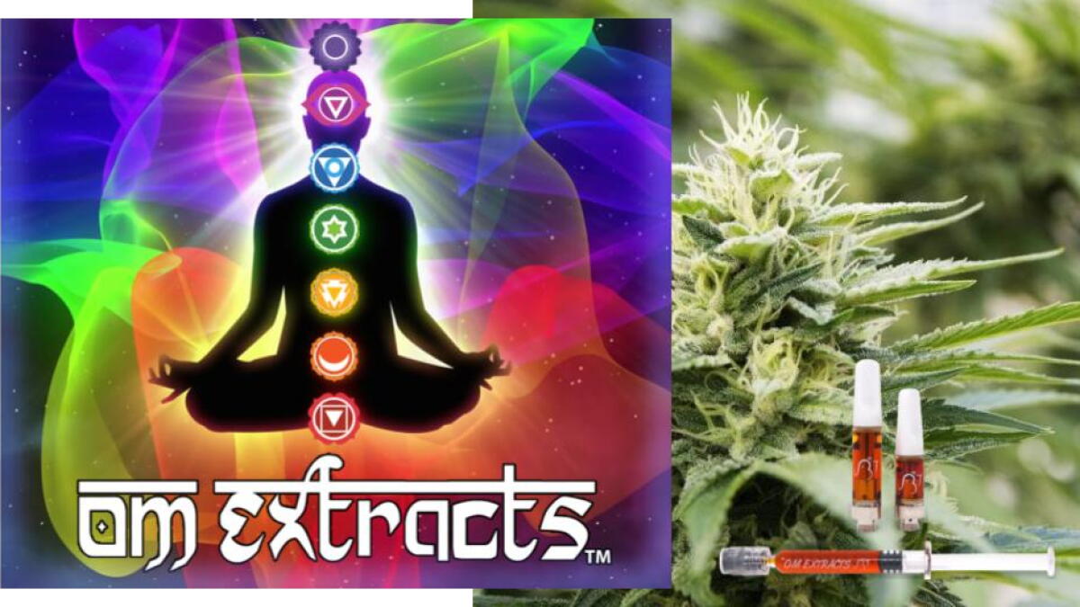 Thu 9:25 | Beyond the hoop houses: growing cannabis legally and responsibly - Vimarsana News