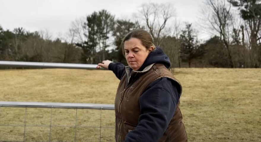 Farmer Meg Riley with some of her Shetland sheep in Middleborough, Massachusetts.