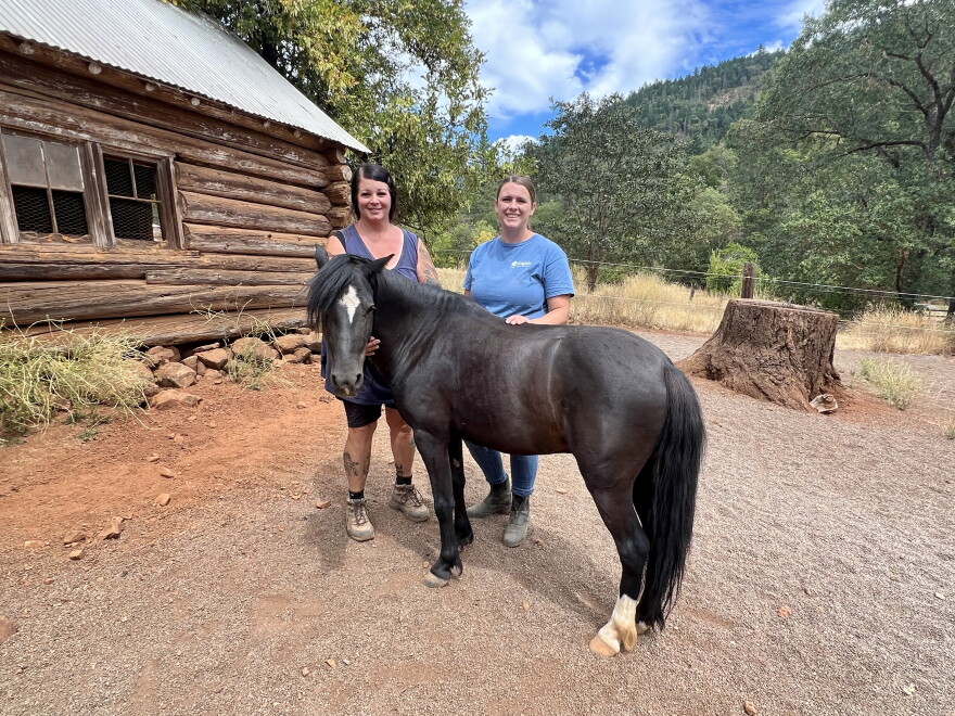 two women stand behind a black pony