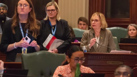 Rep. Robyn Gabel has filed a motion to take a second vote on a bill that would give state regulators authority to review and approve homeowners’ insurance rates in Illinois.