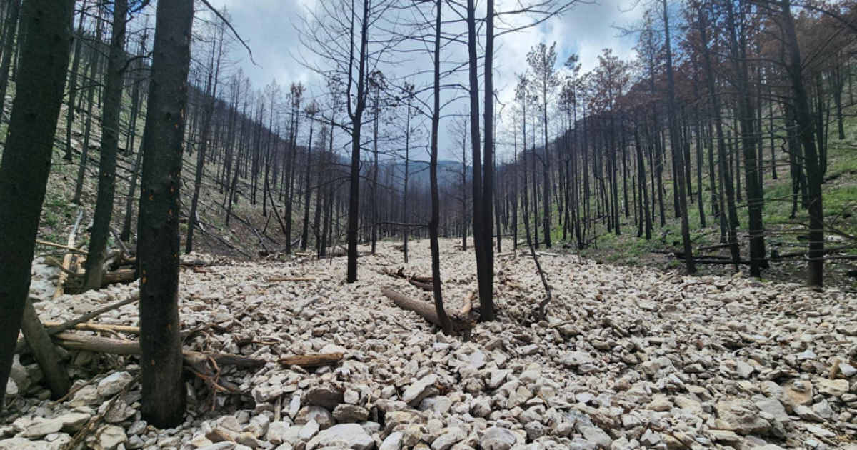 More intense rain storms present a new hazard after a wildfire