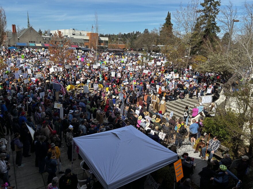 large crowd of people