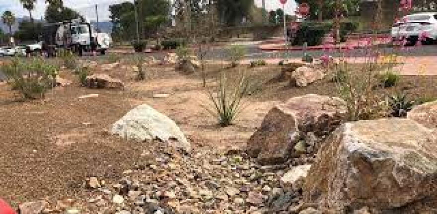 Tucson Clean and Beautifu finished rain garden
