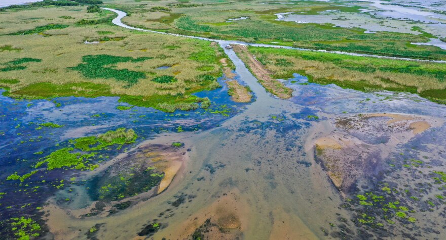 An aerial image of one of the five crevasses cut in Pass-a-Loutre Wildlife Management Area in Plaquemines Parish in 2020 to restore flowing water and sediment in the area.