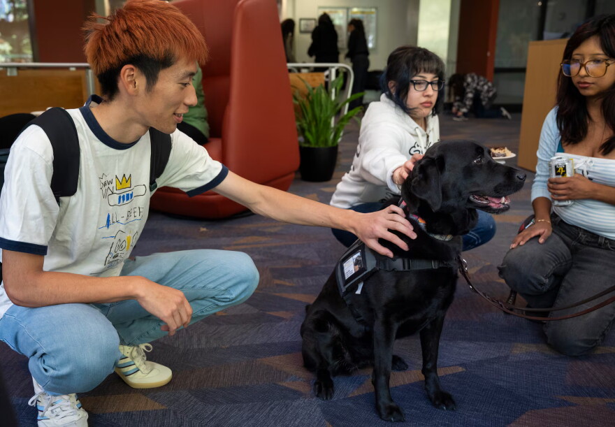 From left, Hinata Kujirai, Deniulcy Lopez Polino and Santi San Augustin pet Brea the service dog, 6, at Portland State University on Oct. 6, 2026.