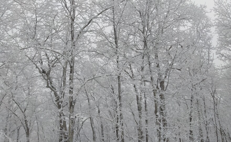 Images of a trip up to transmitter in wintertime.