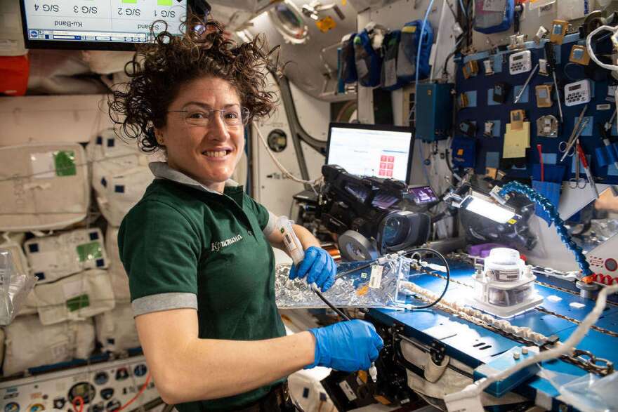 NASA's Christina Koch works on a science experiment installed on the International Space Station. Photo: NASA