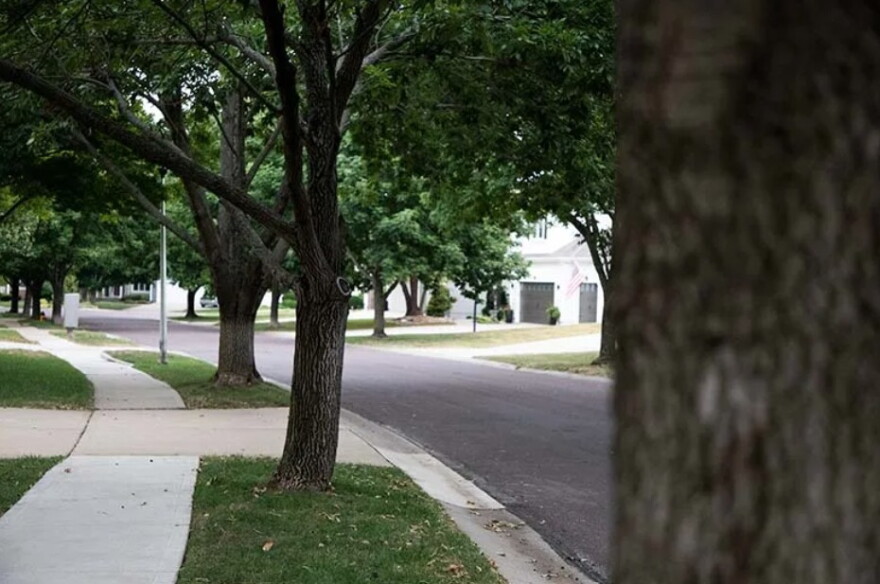 One cul-de-sac in the neighborhood has dozens of ash trees along the right-of-way.