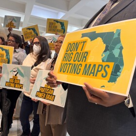 People hold up signs that read "Don't Rig Our Voting Maps" and "Partisan Power Grab" 
