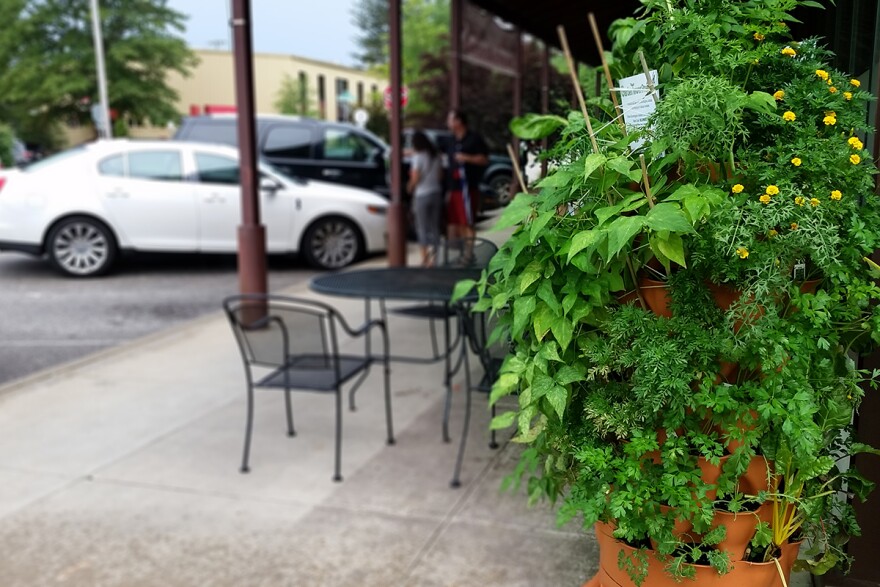 A terra-cotta colored container with pockets and plants growing all over it, on a patio at an outdoor cafe