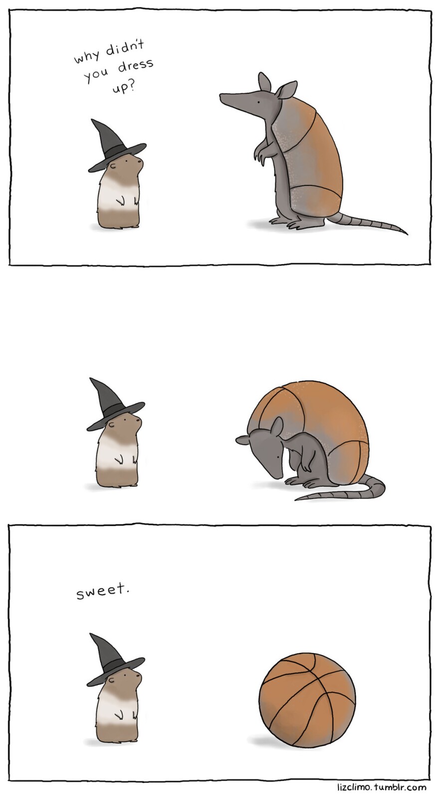 Armadillo