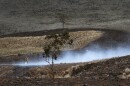 A Big Island firefighter puts out a blaze near Waimea, Hawaiʻi, on Thursday, Aug. 5, 2021. The area was scorched by the state's largest-ever wildfire. Experts say wildfires in the Pacific islands are becoming larger and more common as drought conditions increase along with climate change. (AP Photo/Caleb Jones)