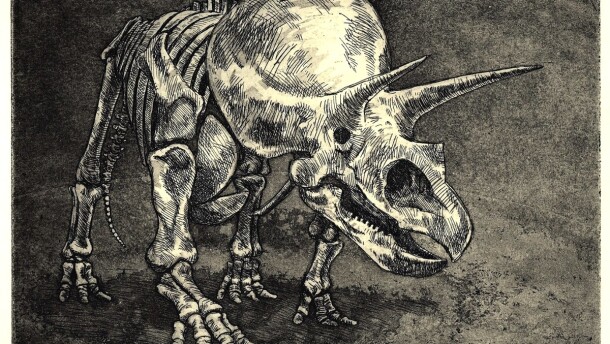 Scientists studied the bony frills in triceratops and found some interesting injuries.