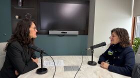 MetroHealth CEO Dr. Christine Alexander-Rager tells Sound of Ideas host Jenny Hammel how her background in family medicine will help her lead the Cleveland health system.