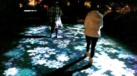 The Dallas Arboretum will be transformed into a holiday wonderland for Holiday at the Arboretum, which runs Nov. 13 through Jan. 5.