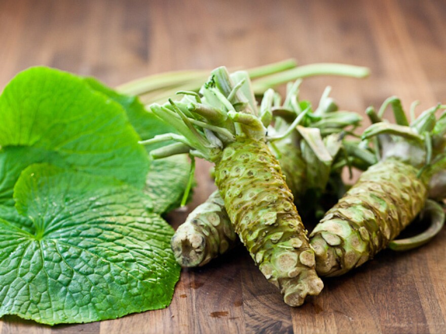 This wasabi doesn't have to grow in moving water; it just needs a semi-shaded space.