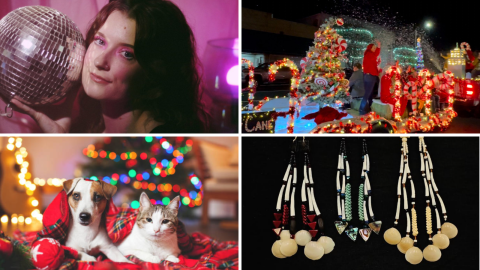 From L-R: Not Your Babe, Elf: The Musical, Family Pet Portraits & Chico Indian Market