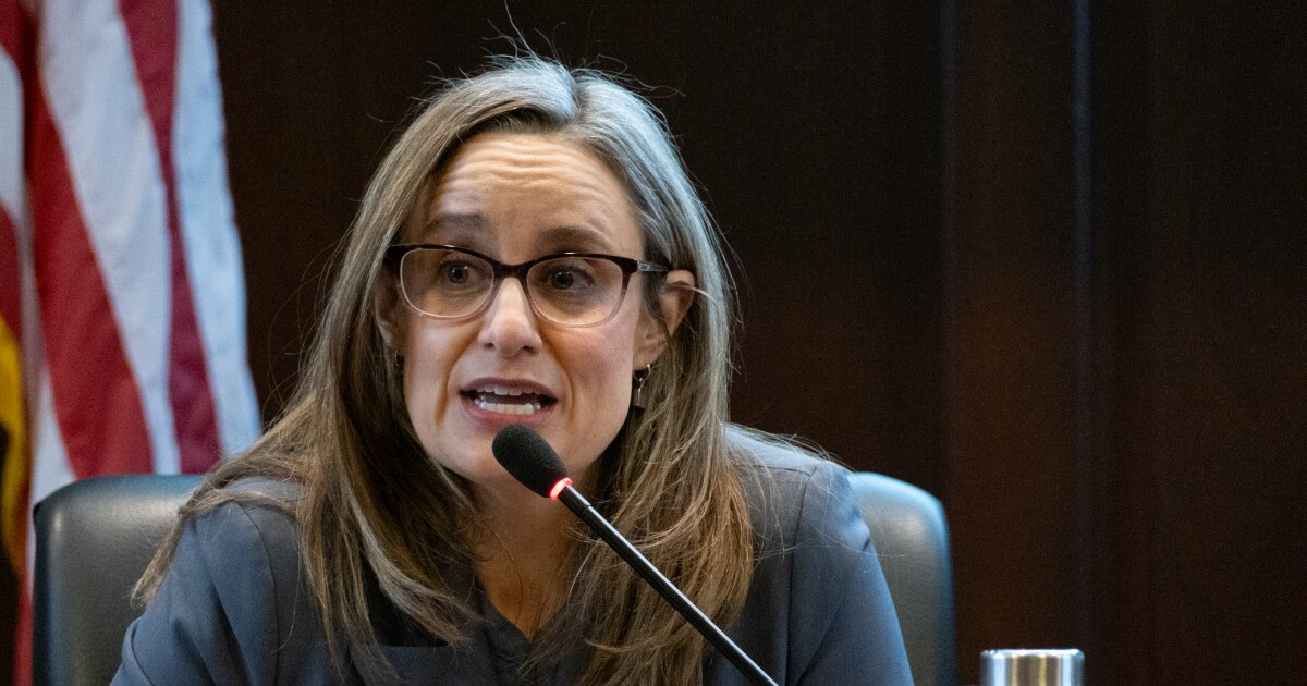 Idaho's top Democrat shares wishlist for new DNC chair