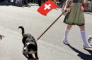 A Midway Swiss Days parade participant with a dog. The proposed application changes would allow event organizers to indicate whether they'd like to include animals in their town square festivities. 