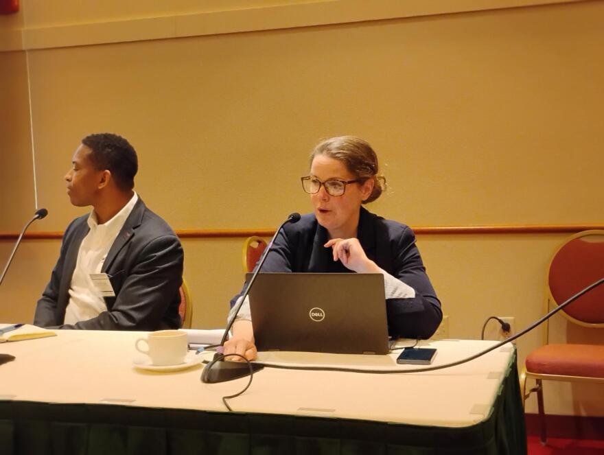 Heather Allen, of the non-profit Elevate, speaks during a panel at the RENEW Wisconsin conference.