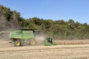 A green John Deere combine on the left hand side of the frame drives into a field of soybeans during harvest. 