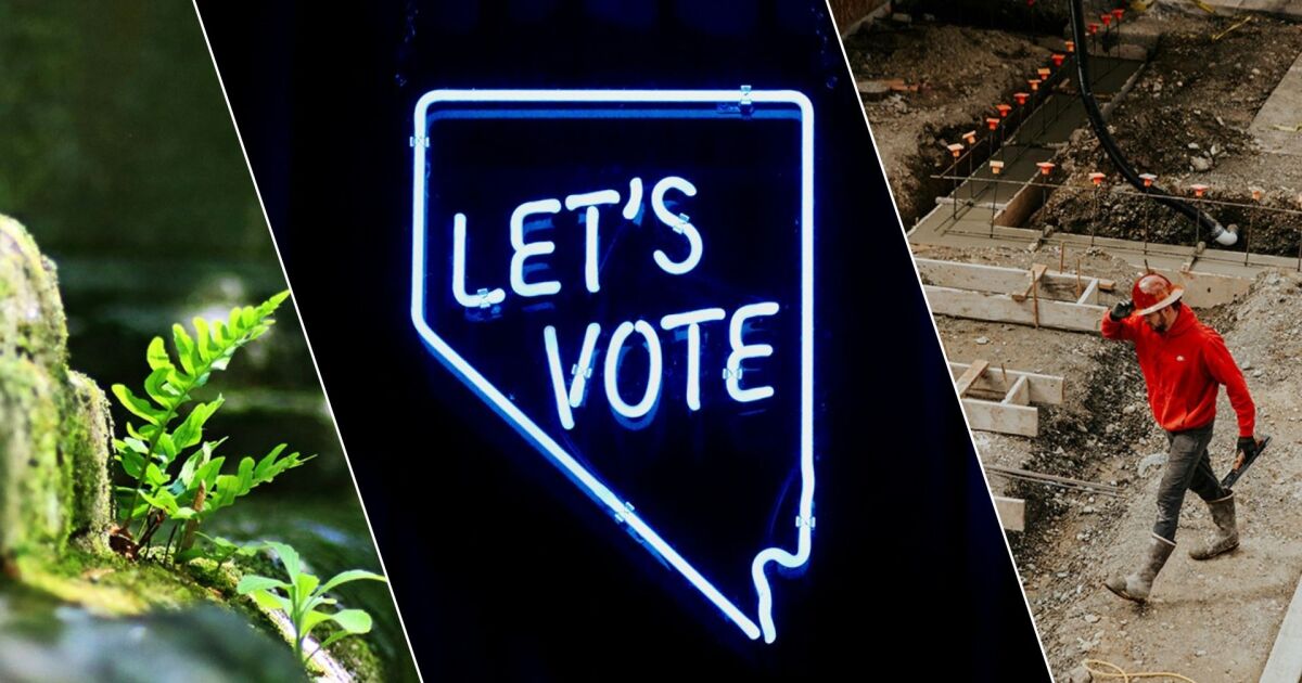 Nevada voting, home weatherization and contractor license updates