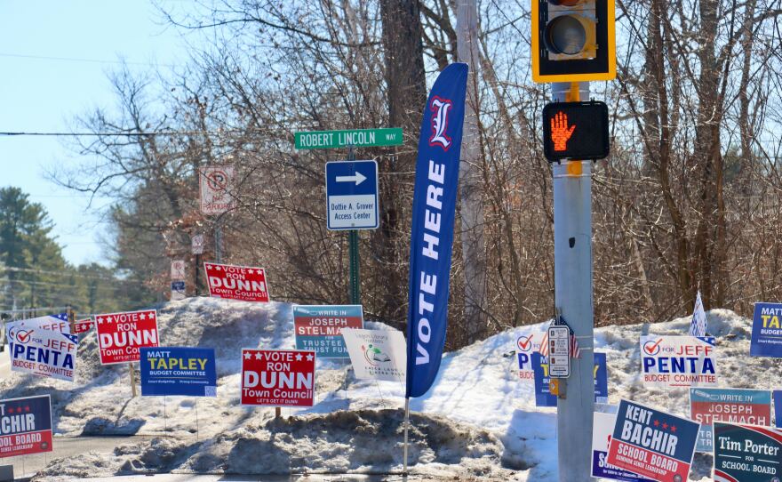 Campaign signs in Londonderry, on March 10, 2026.