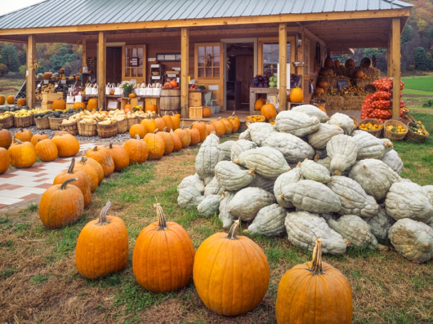 A Vermont farm stand. The state excels at getting the produce to the people.