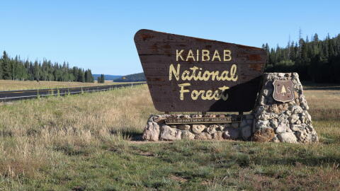 The 1.6 million-acre Kaibab National Forest stretches across the north and south rims of the Grand Canyon, encompassing part of the nation's largest contiguous ponderosa pine forest.