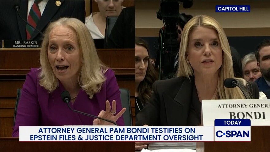 Rep. Mary Gay Scanlon (D – PA) questioned Attorney General Pam Bondi Wednesday over the justice department's list of alleged left-wing terrorists.