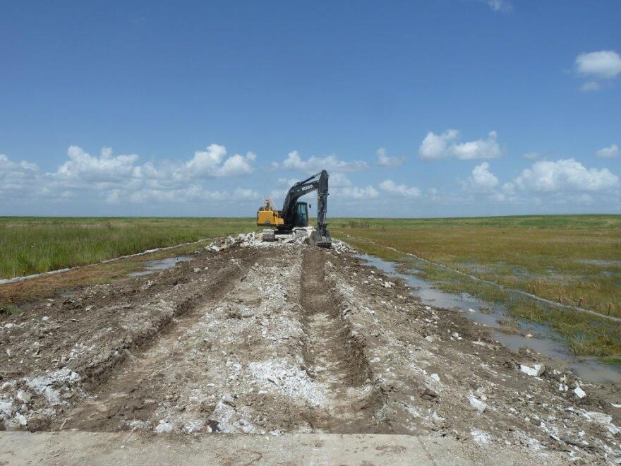  As the South Florida Water Management District clears the way for more water to move into Taylor Slough, shown here, and the eastern edge of Everglades National Park, the district is also planning a massive underground seepage wall to keep water in the park.