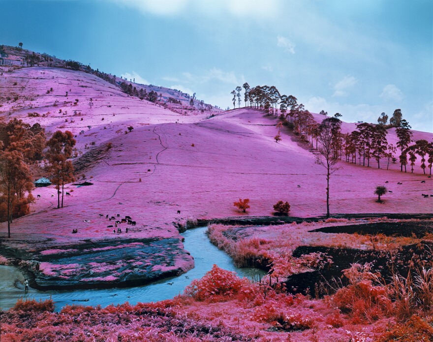 Richard Mosse (Irish, born 1980), Men of Good Fortune, 2011, digital c-print. 